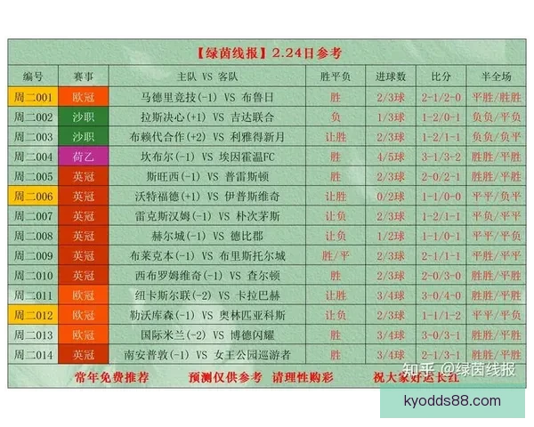 开云APP使用安全性分析与个人信息保护风险评估
